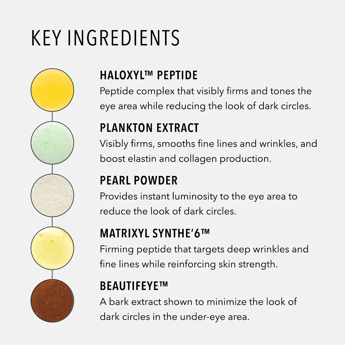Eye Authority - Image 6