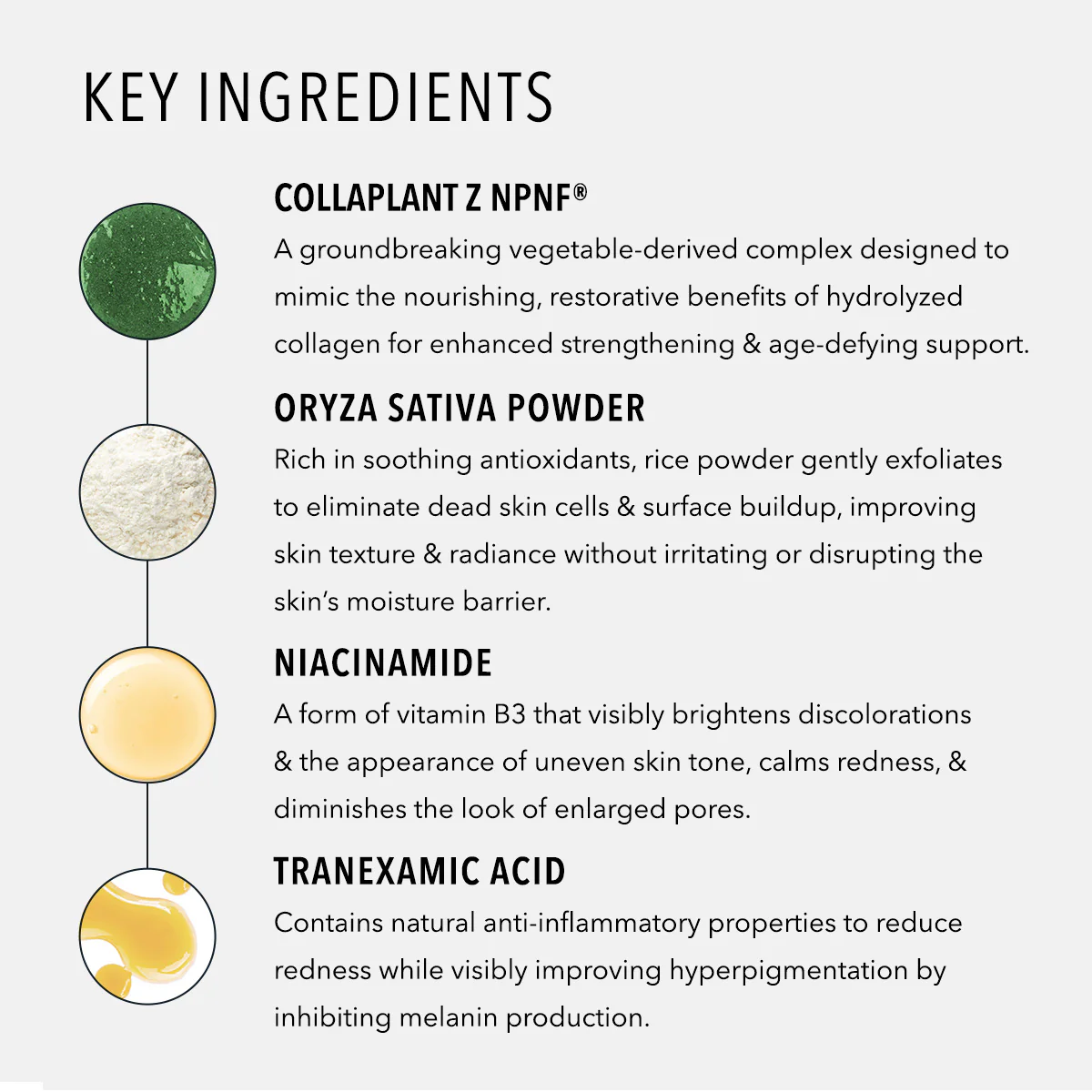Foaming Cream Cleanser - Image 6